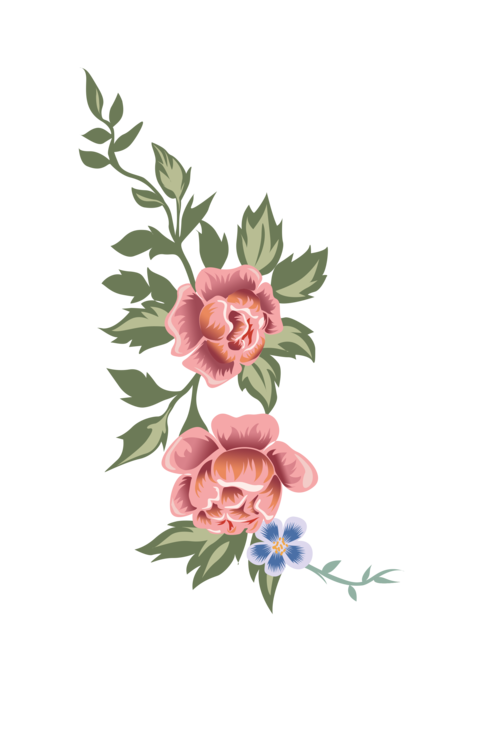 独家放送:榜一大哥专享下载地址,免费下载