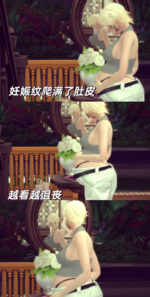 想玩母上攻略4重制版安卓？这里提供下载链接