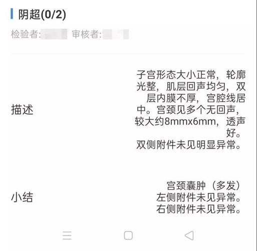 妇科医生汉化版更新啦！快来看看都有啥新内容