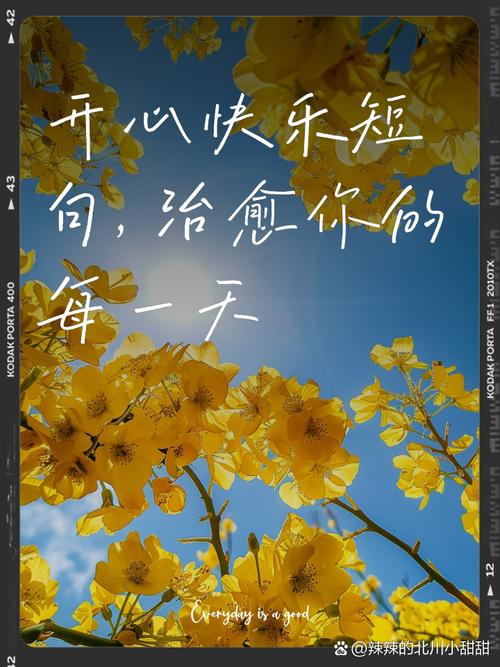 寻找快乐?愉快的生活官方网站带你体验!