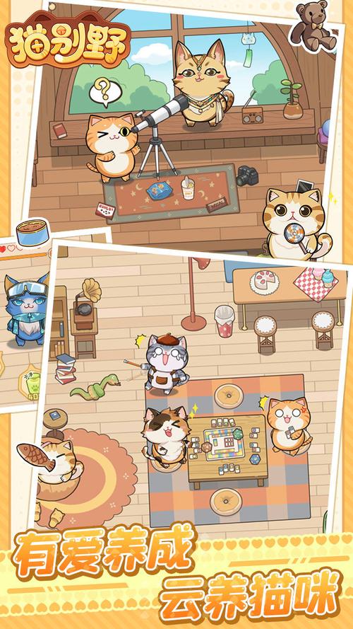 收集了所有小野猫N上版本,总有一款适合你