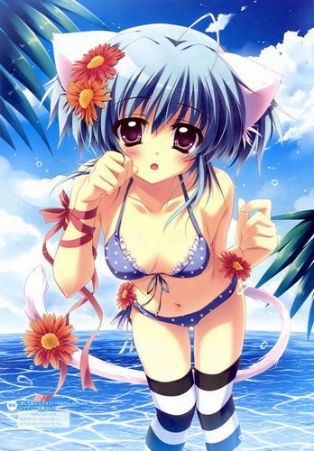 想玩兽耳少女治疗?这里有你需要的版本大全