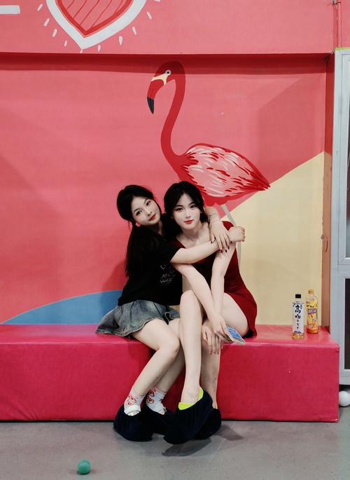 姐妹花持续更新，最新地址看这里！