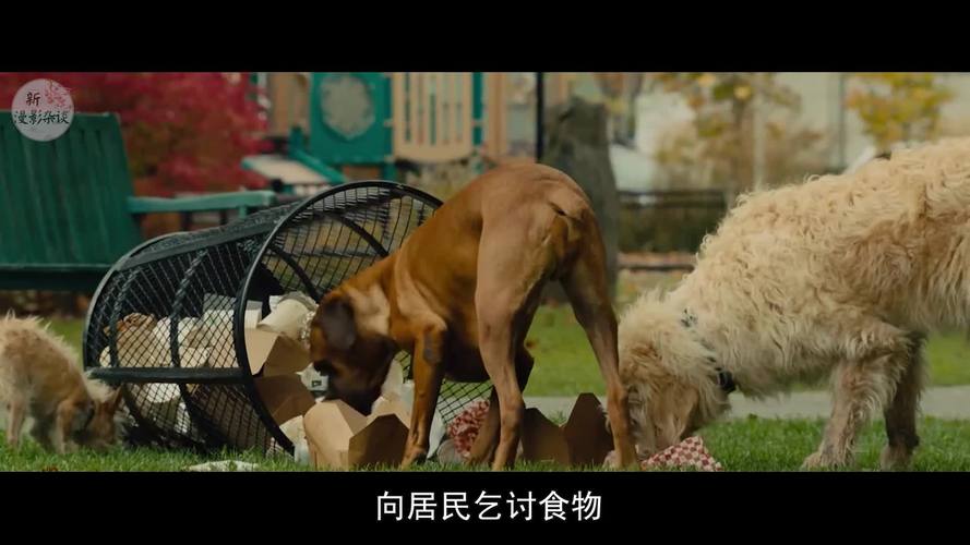 危险的回家路版本大全:哪个版本最好玩?