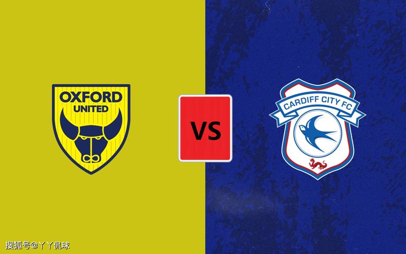 卡迪夫城蓝鸟军团最新:球队降级,球迷抗议声不断