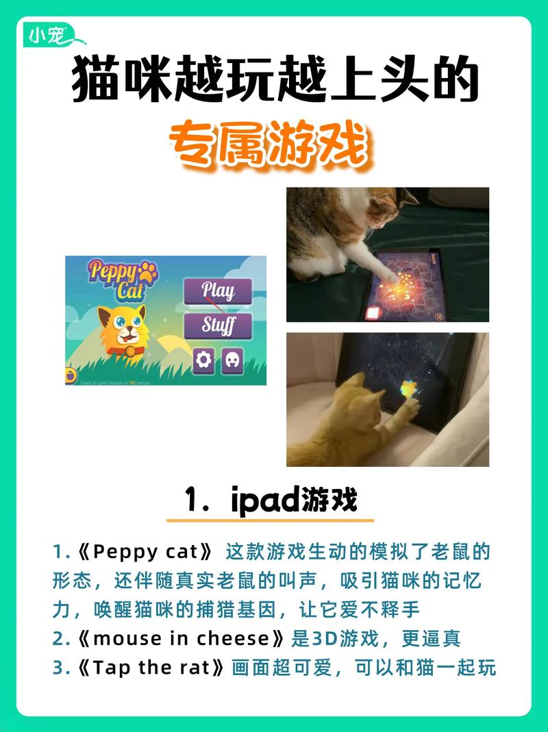 疯猫你弟弟都爱玩的游戏:有哪些值得推荐的?