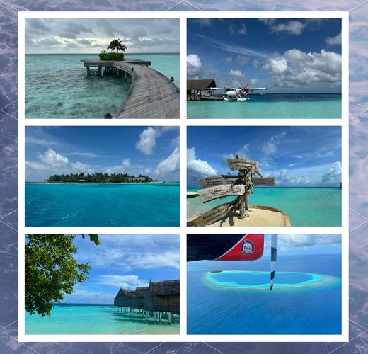 好玩Nekotto岛游戏推荐：探索奇幻孤岛，体验刺激的冒险之旅！