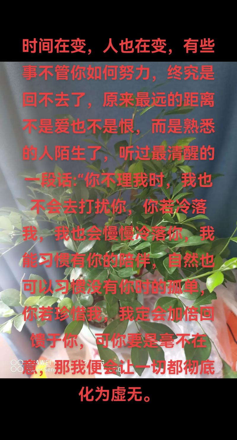 孤独的陌生人，适合你弟弟玩的游戏有哪些？