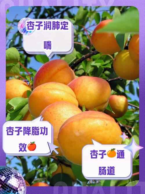 寻找人杏之间官方网站？这里有你需要的全部杏信息