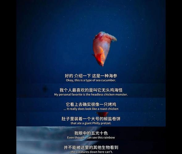 揭开未知的面纱更新地址:最新版本等你体验