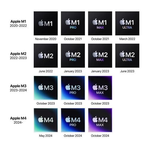 各版本SiliconLust对比:哪个版本最适合你?