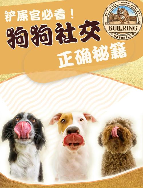 快速交到100个朋友?版本大全秘籍大公开