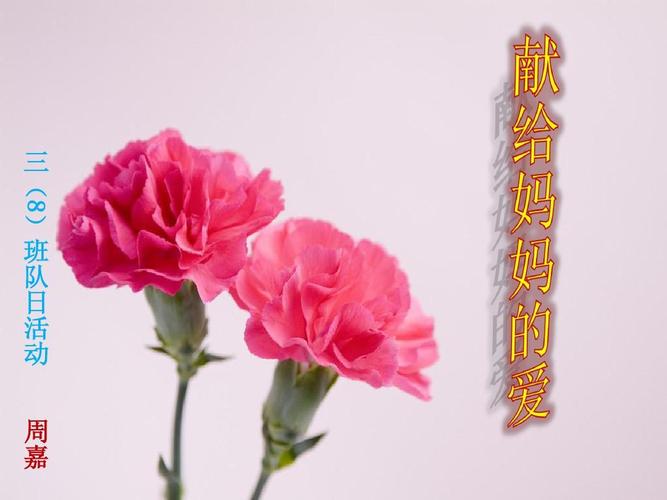 妈妈的爱下载地址:快速下载,简单方便