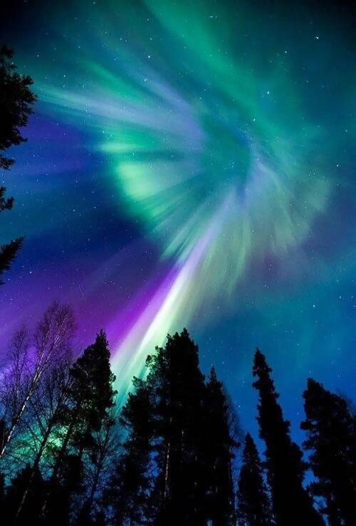 想玩北极光？安卓版下载方法在这里！