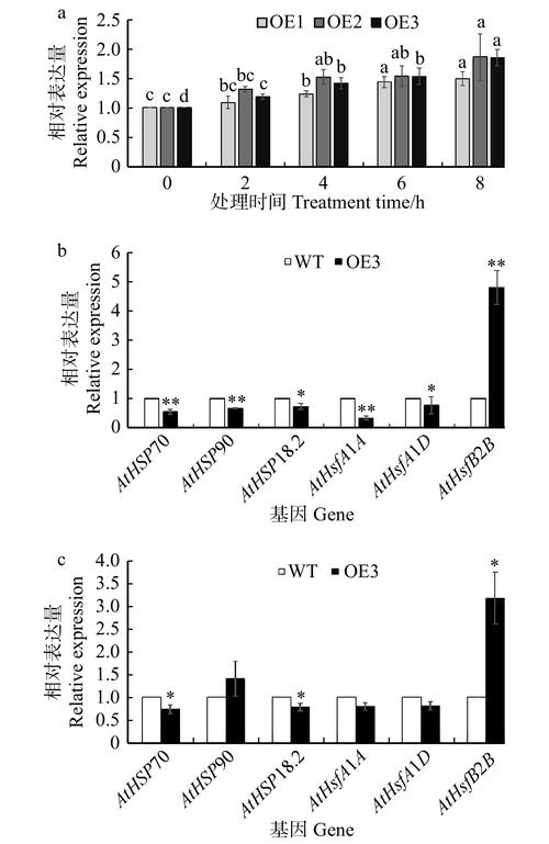 最新版胁迫COERCION详解：国际法中的定义与案例
