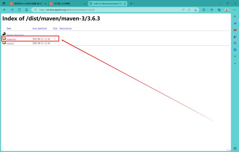绝对疯狂V0.63如何下载?新手玩家下载安装教程详解