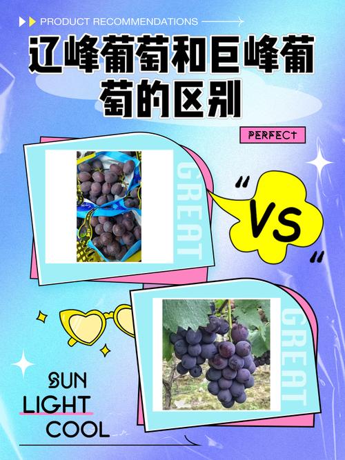 各大平台葡萄成熟时下载方法对比，哪个最方便？