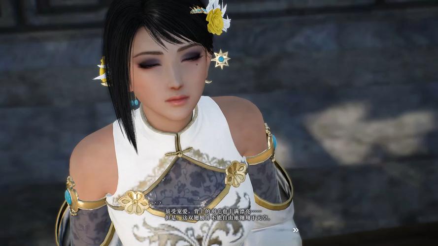 真三国无双绅士版杨过游戏:下载地址及玩法攻略