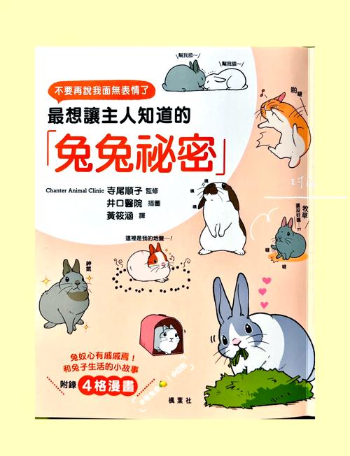 兔兔秘密花园最新进展:发售日期和平台确定!