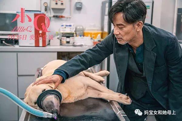 想玩母上攻略3重制版?这篇介绍你必须看!