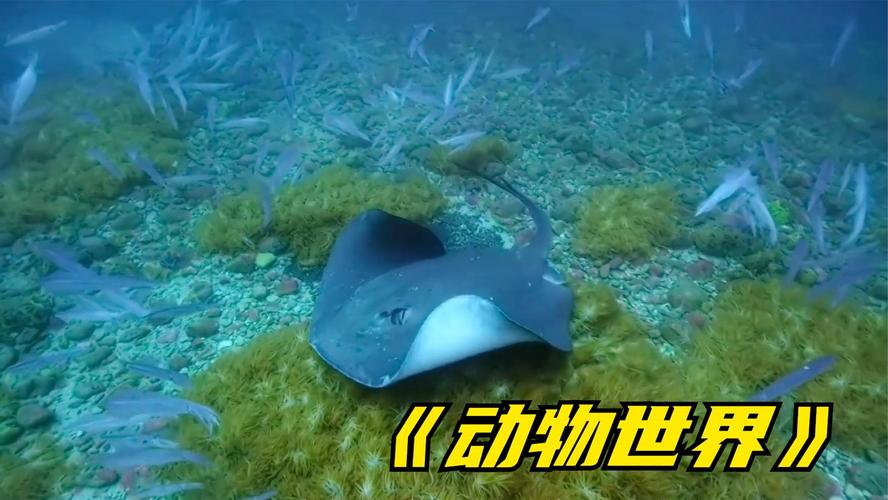 世界之卵安卓版资源:超多玩家都在玩