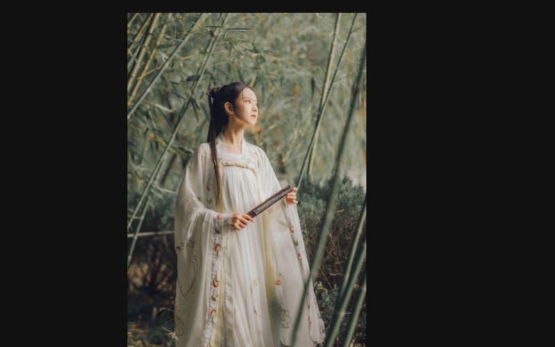 侠女逍遥录V0.755最新体验:国产武侠古风SLG游戏