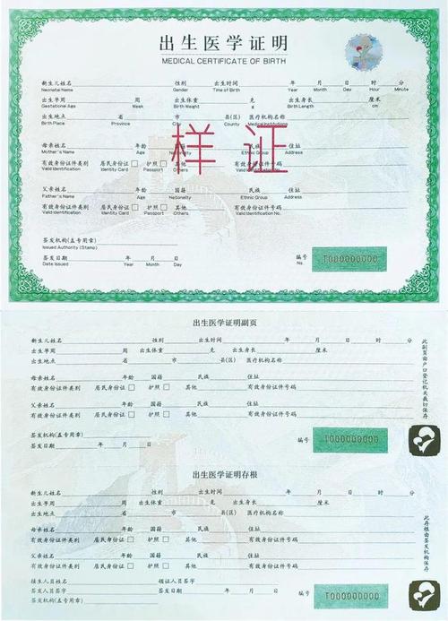 各种出生证明版本大全：附详细填写指南和注意事项