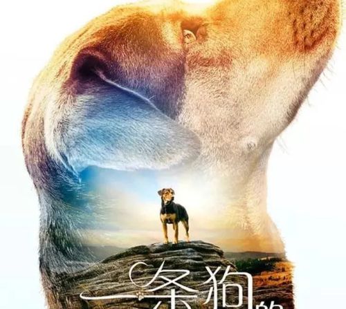 危险的回家路版本大全:哪个版本最好玩?