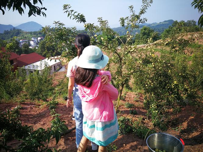 乡村生活的快乐暑假正式版下载,最新版等你体验!
