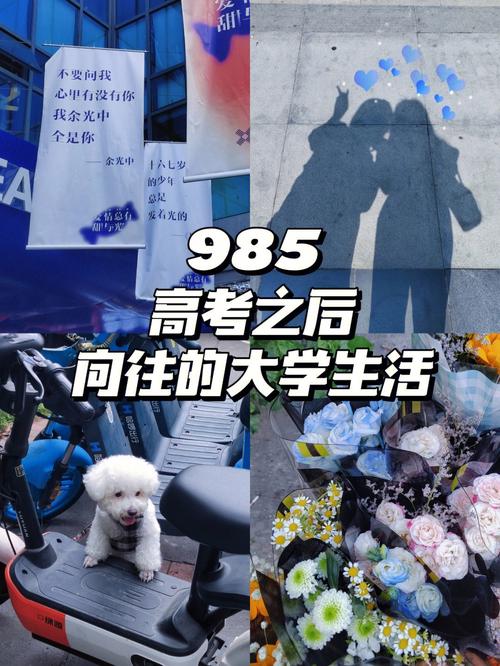 想玩我的大学生活S3?这里有下载地址!