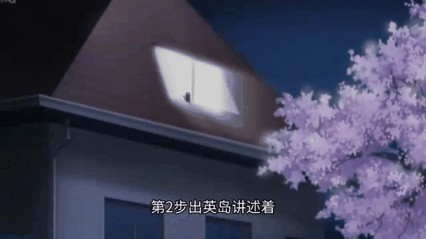 欢迎来到后宫岛，最新资讯抢先看，带你了解岛屿全貌