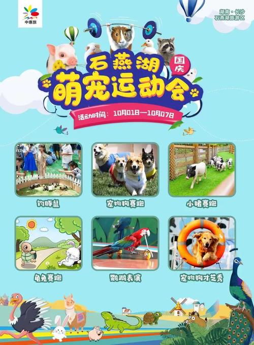 还在等什么?宠物捕捉大师安卓番外火热来袭