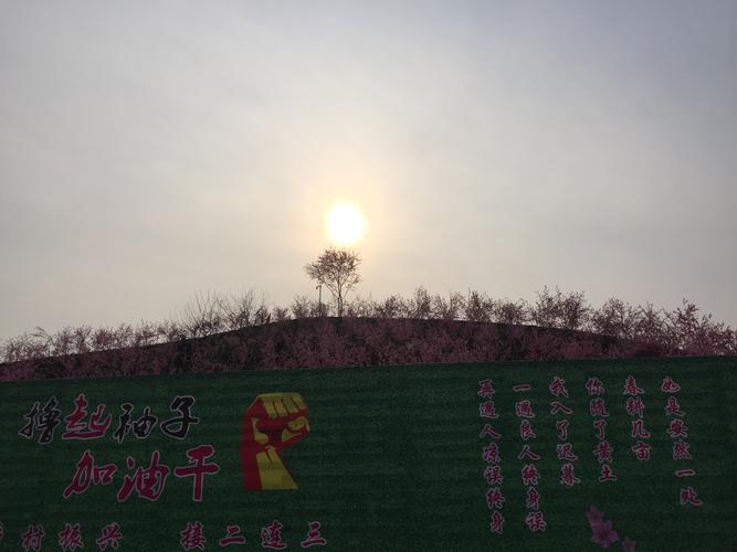 想玩桃花境?教你快速找到下载地址和方法!