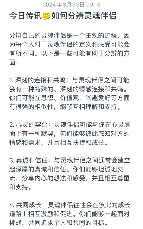 灵魂伴侣最新版本攻略:教你快速找到真爱