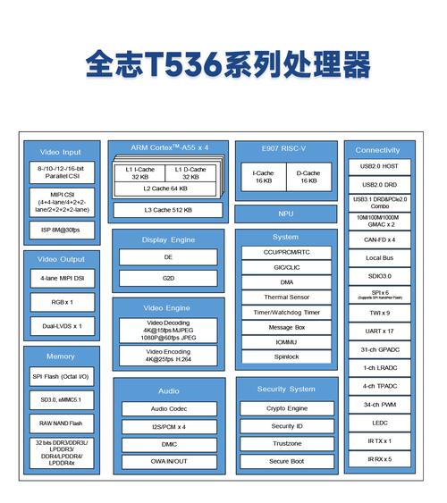 SOAV65官网的详细介绍 SOAV65官网功能全面解析