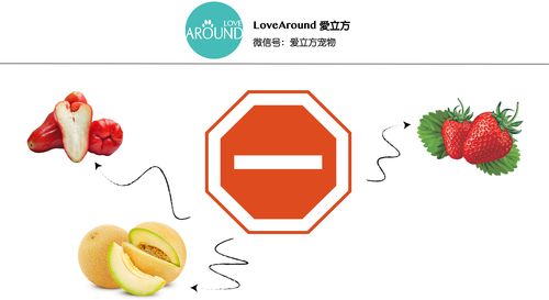 LOVE爱立方最新版本是多少?2025最新版下载地址分享