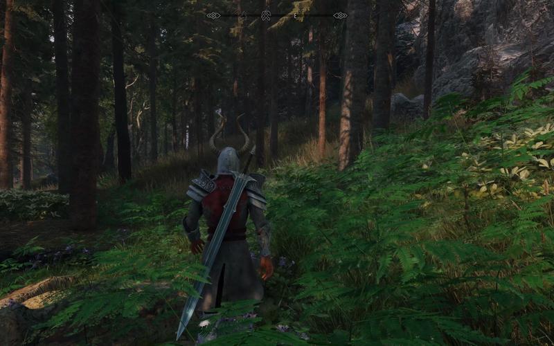 体验不一样的上古卷轴5:绅士MOD安装及玩法详解