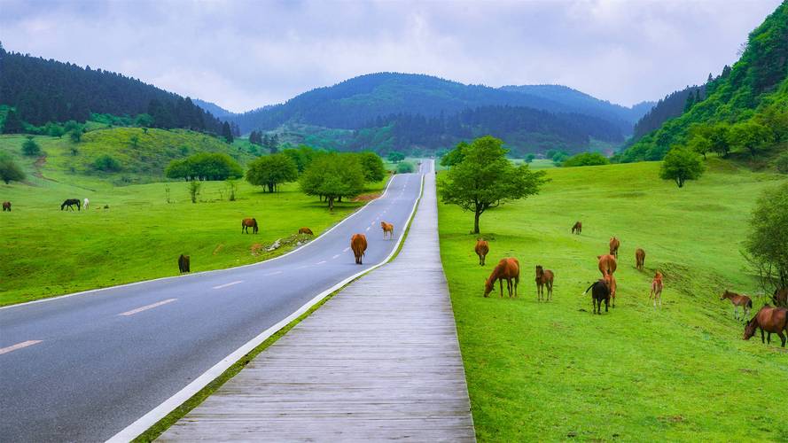 快速下载青青草原,几步搞定!
