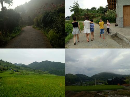 乡村生活的快乐暑假正式版下载,最新版等你体验!