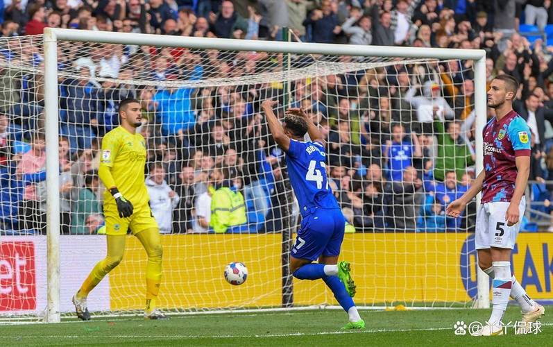 卡迪夫城蓝鸟军团最新:球队降级,球迷抗议声不断