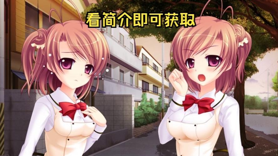 安卓双胞胎少女逆推游戏:高能剧情引爆感官