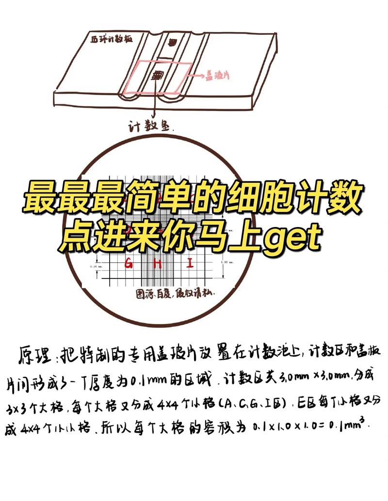 安全便捷的完美细胞计划下载地址:快速下载,立即体验