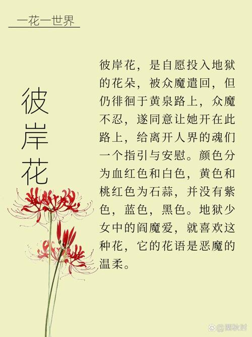 彼岸花汉化版最新更新内容:新增角色和剧情,快来体验!