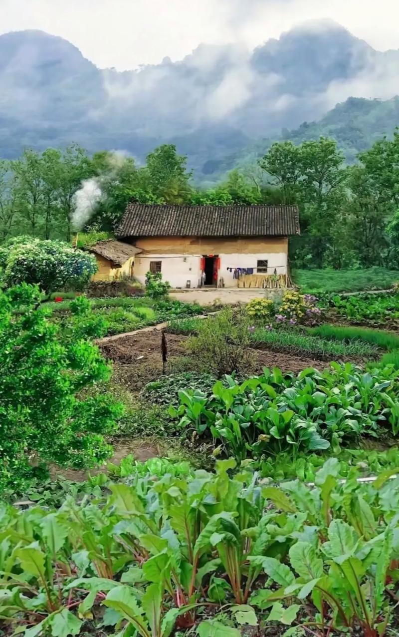 乡下生活版本大全：带你感受不一样的乡村风情