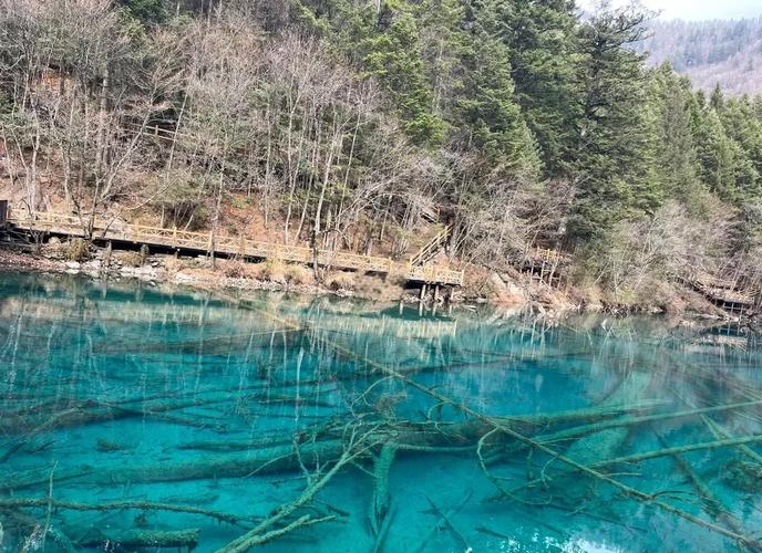 爱的初体验下载途径有哪些?避坑指南来啦