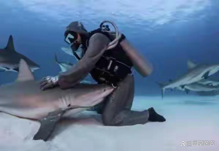 水上世界内有777绅士游戏？带你体验刺激冒险！