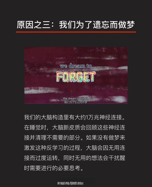 探索梦境之地V0.4:欲望国度官方网站指南