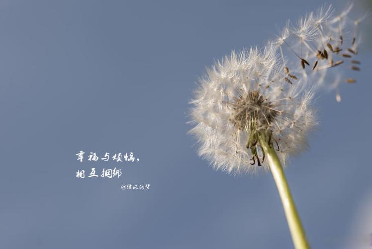 想下载重复人生?最简单快捷的下载方法都在这里