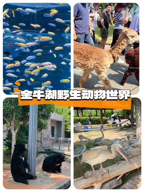 蓝宝石野生动物园官方网站:便捷购票,开启奇妙旅程