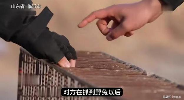 淫魂狩猎最新进展:揭秘非法狩猎团伙,打击犯罪维护秩序